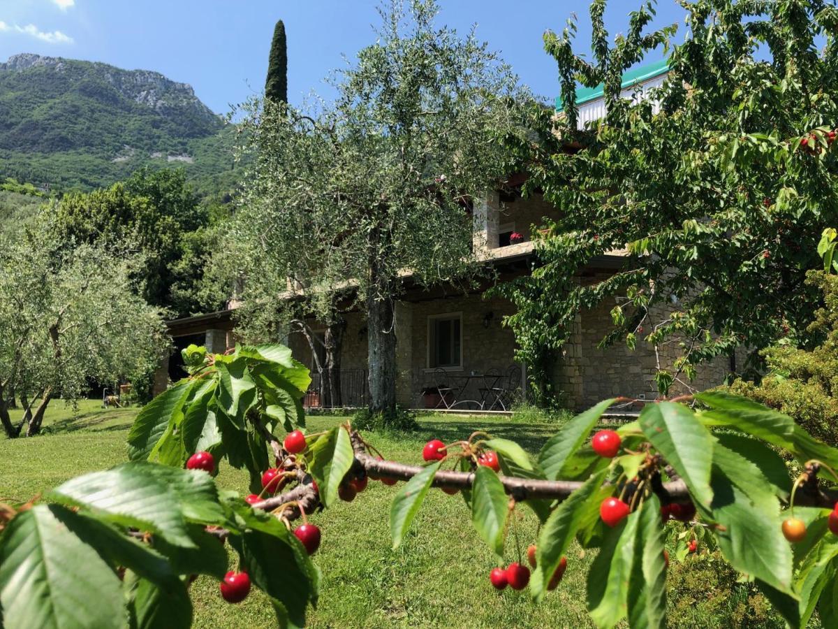 La Cascata Negli Ulivi Bed and Breakfast Toscolano Maderno Eksteriør billede