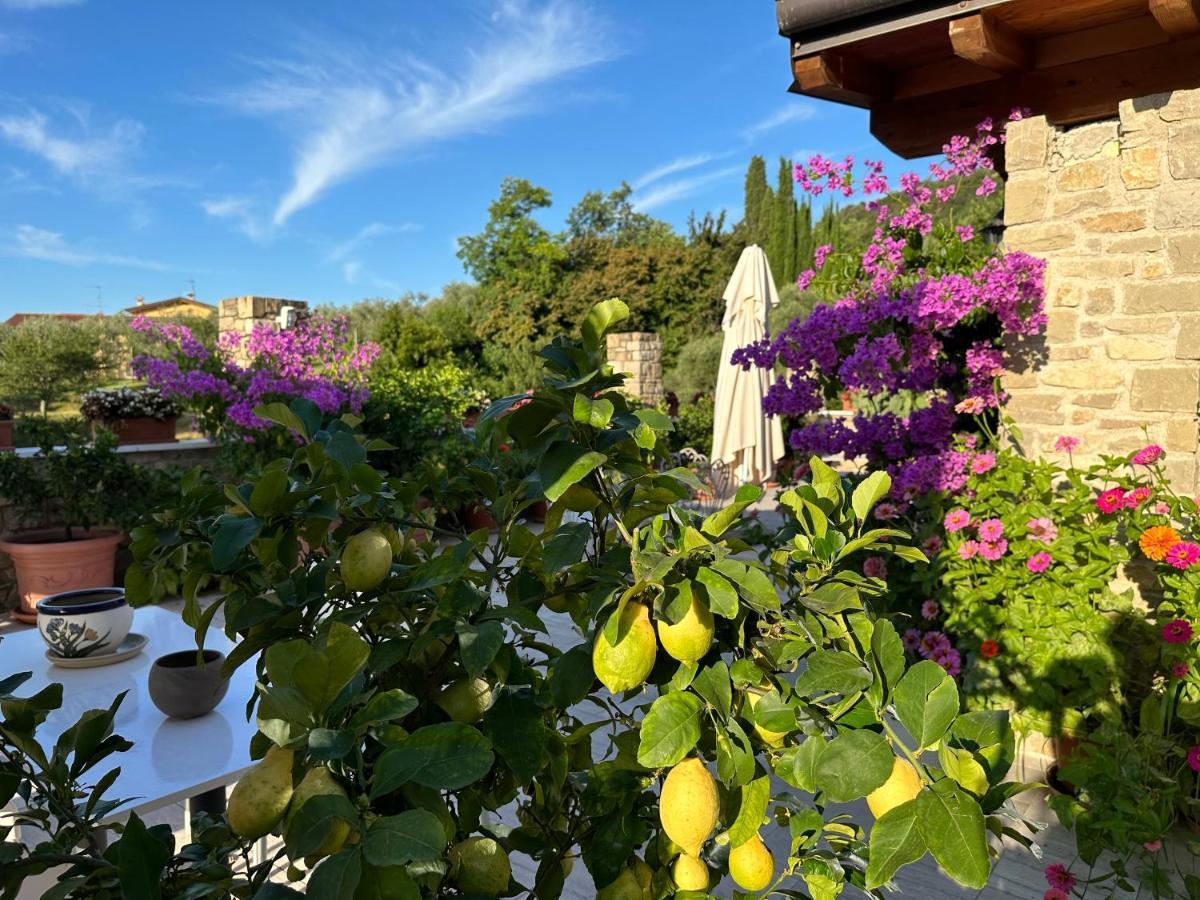 La Cascata Negli Ulivi Bed and Breakfast Toscolano Maderno Eksteriør billede