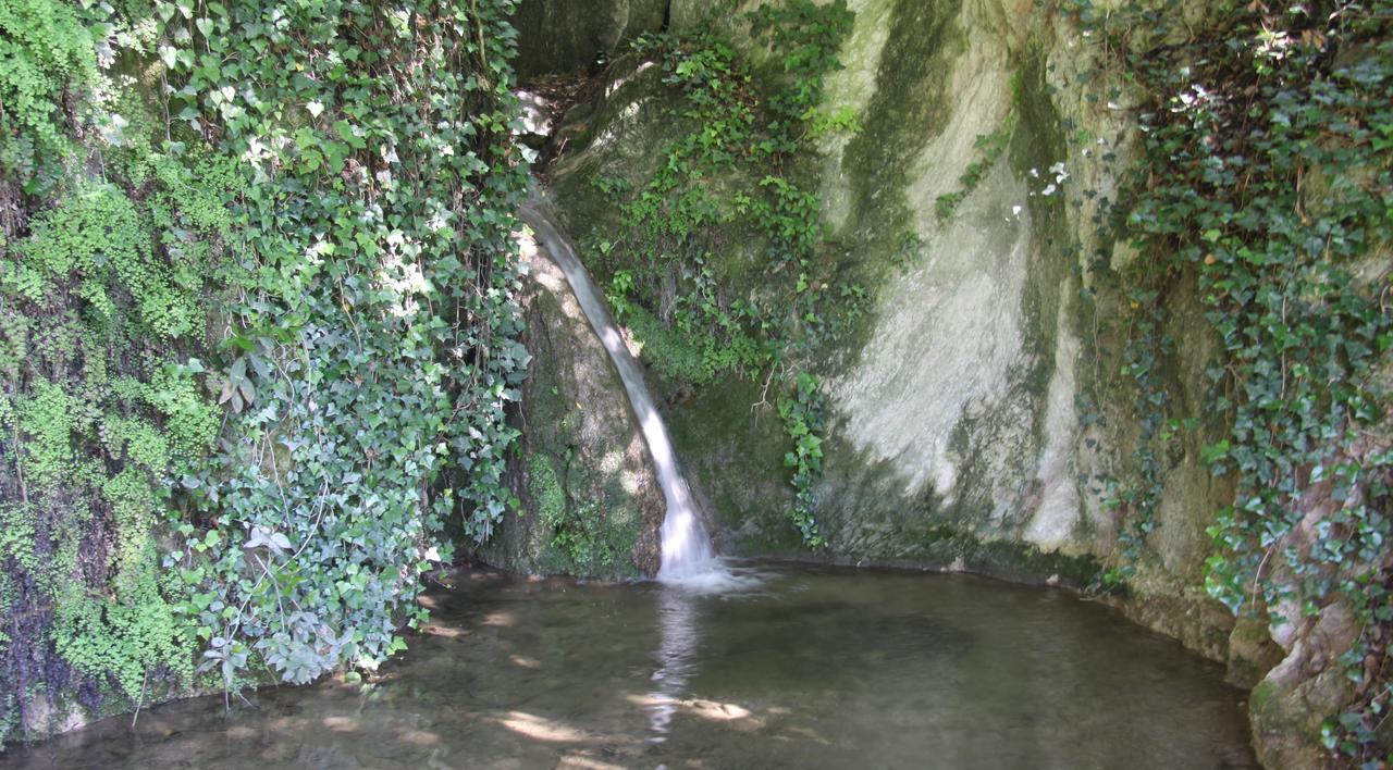 La Cascata Negli Ulivi Bed and Breakfast Toscolano Maderno Eksteriør billede