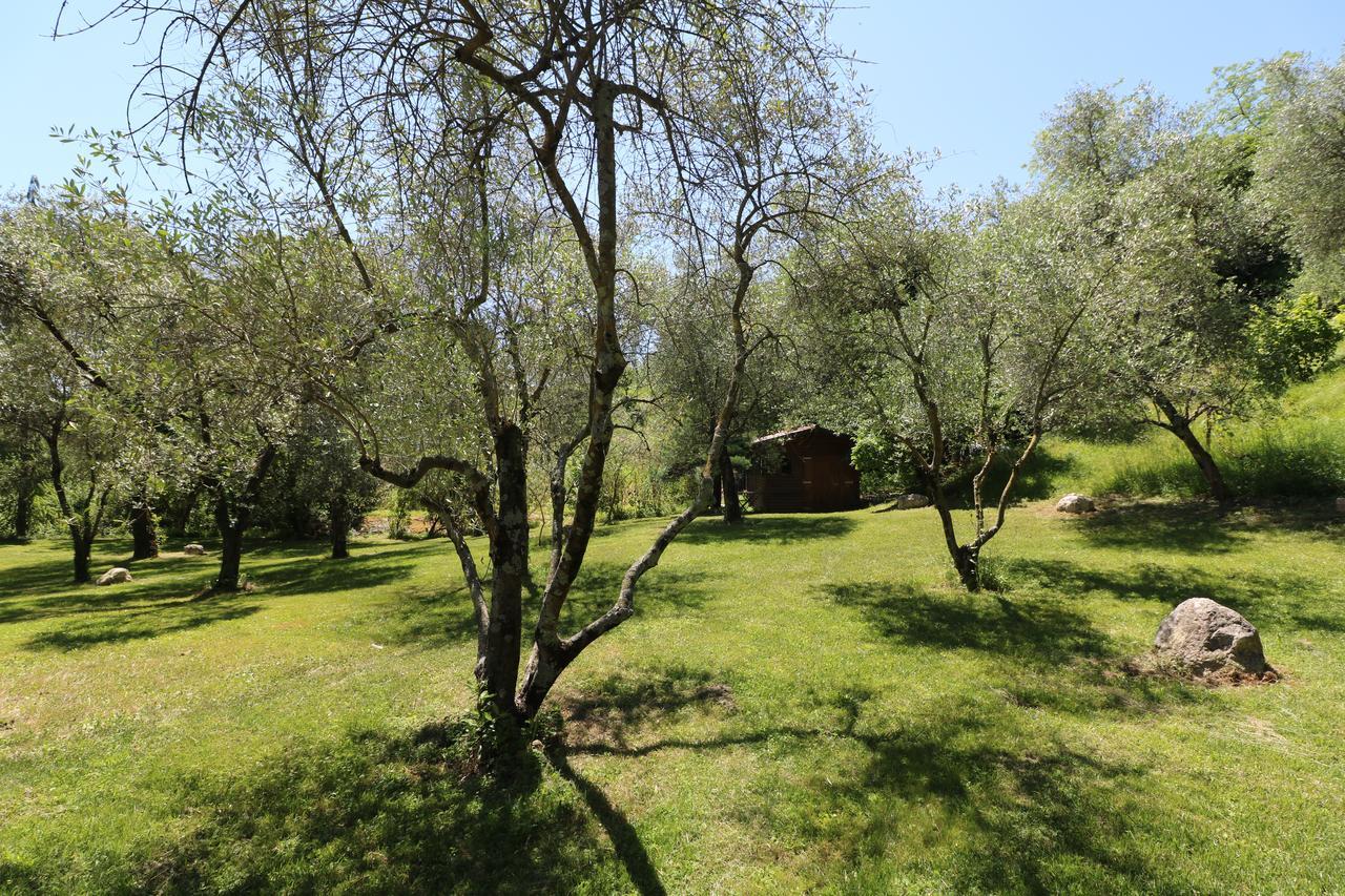 La Cascata Negli Ulivi Bed and Breakfast Toscolano Maderno Eksteriør billede