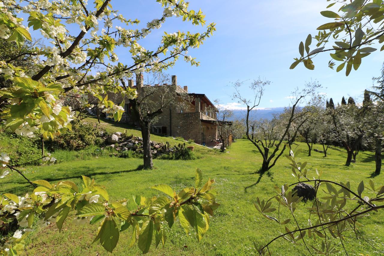 La Cascata Negli Ulivi Bed and Breakfast Toscolano Maderno Eksteriør billede