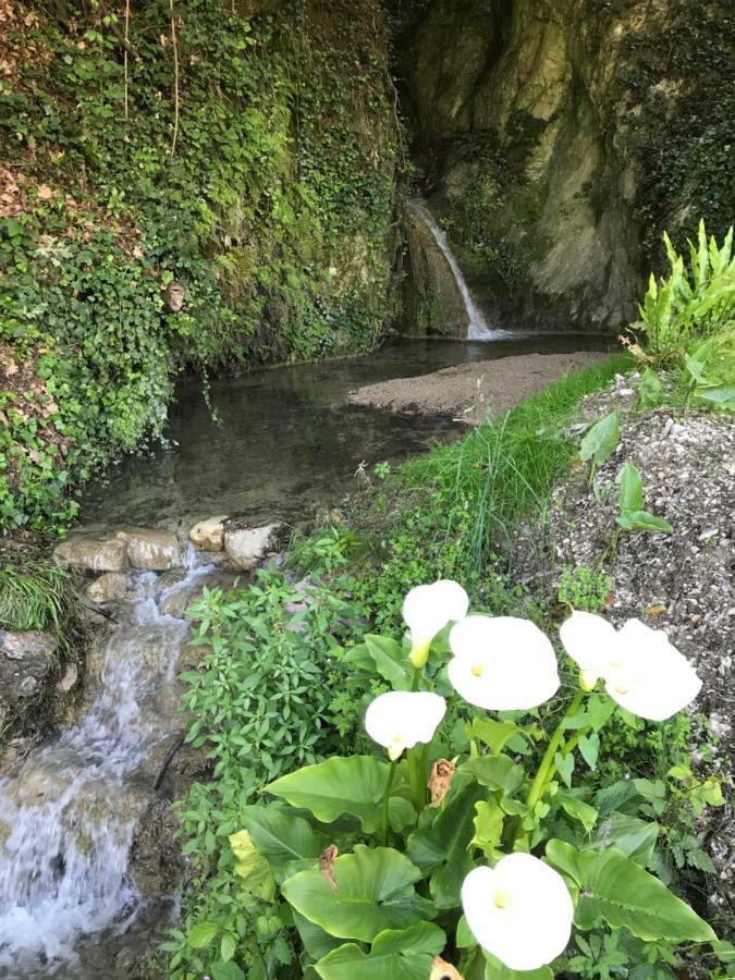 La Cascata Negli Ulivi Bed and Breakfast Toscolano Maderno Eksteriør billede