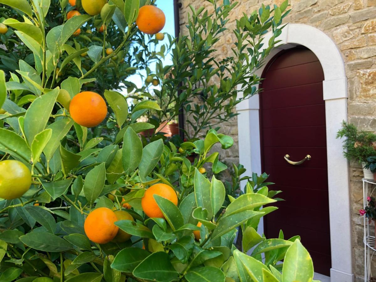 La Cascata Negli Ulivi Bed and Breakfast Toscolano Maderno Eksteriør billede